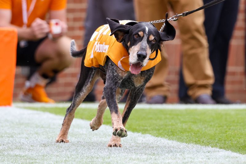 Oct 15, 2022; Knoxville, Tennessee, USA; Tennessee Volunteers mascot Smokey - Randy Sartin-USA TODAY Sports