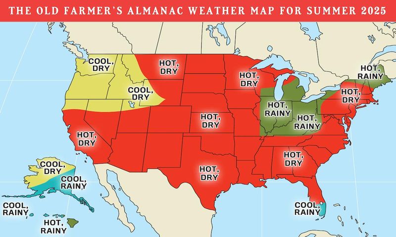 Predictions for summer have been released by the Old Farmer's Almanac, and much like we saw in 2024, this year is on trend to be a scorcher, with most of the United States categorized as "hot" and "dry."