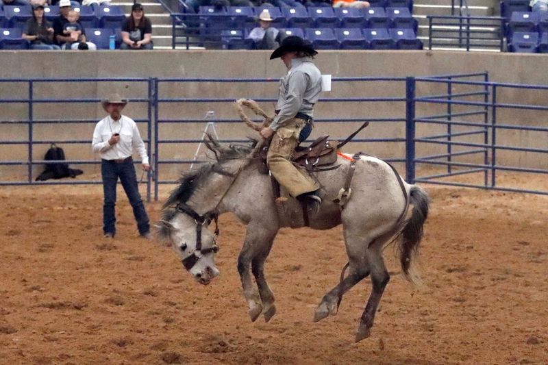 A cowboy from the Sandhill Cattle Ranch and McMillen Ranch catches some air on a horse named Gun Smoke during the Ranch Broncs competition during the West Texas Ranch Rodeo in April 2025 at the Amarillo National Center.
