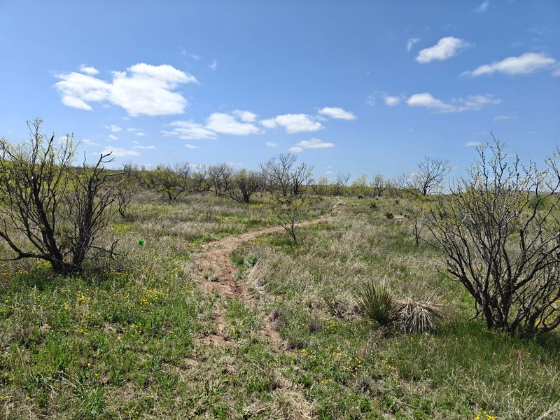 The Wildcat Bluff Nature Center is celebrating another year with a Cheers event on Saturday.