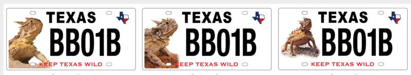 Texans can vote on three potential designs to update the horned lizard plate.