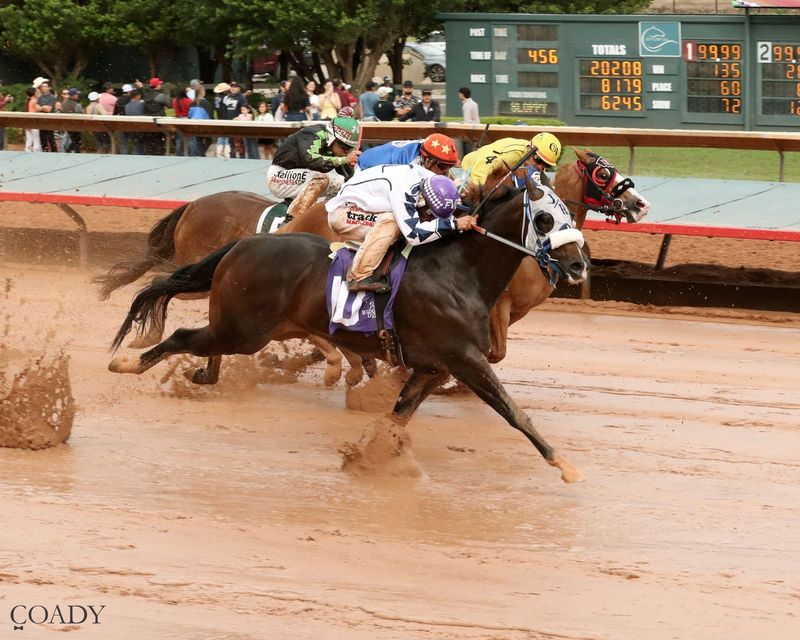Ariatt was the top qualifier for the 440-yard Rainbow Derby om July 12 at Ruidoso Downs Race Track and Casino.