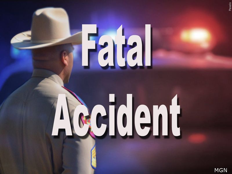 A Wichita Falls woman was killed in a traffic crash in Petrolia late Saturday