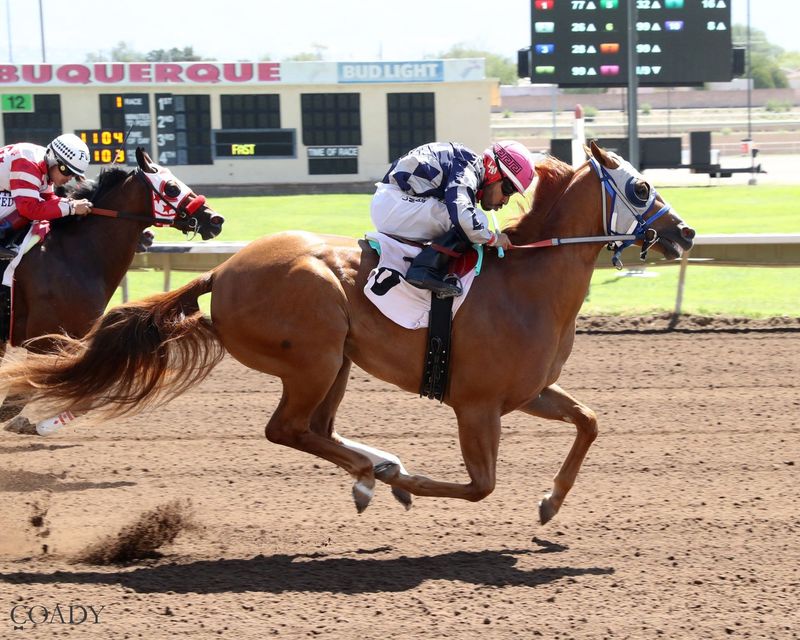 Political Twist qualified for the 2025 All American futurity on Monday, aug. 4 at the Downs of Albuquerque.