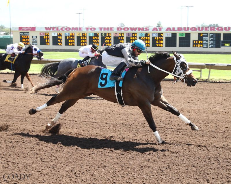 Dee Favorite Tacha is one of 10 qualifiers for the 2025 All American Futurity.
