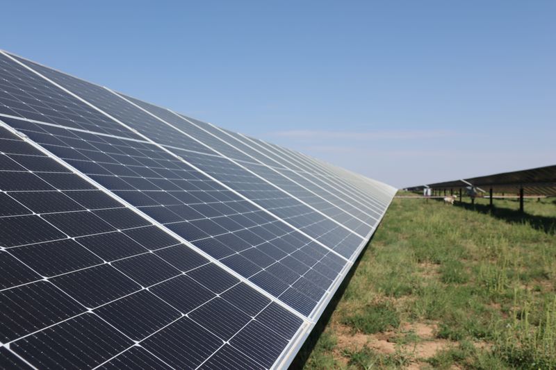 Over 1.3 million solar panels face the morning sun on Sept. 17, 2025 on the Hornet Solar 600-megawatt solar project from Vesper Energy in Tulia, Texas.