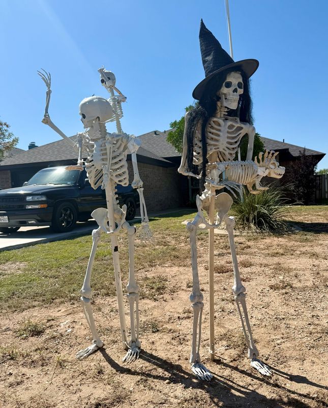 The "Skeletons of Paul Ann" first display at the 2900 block of McGill Boulevard in the Paul Ann neighborhood on Wednesday, Oct. 1.
