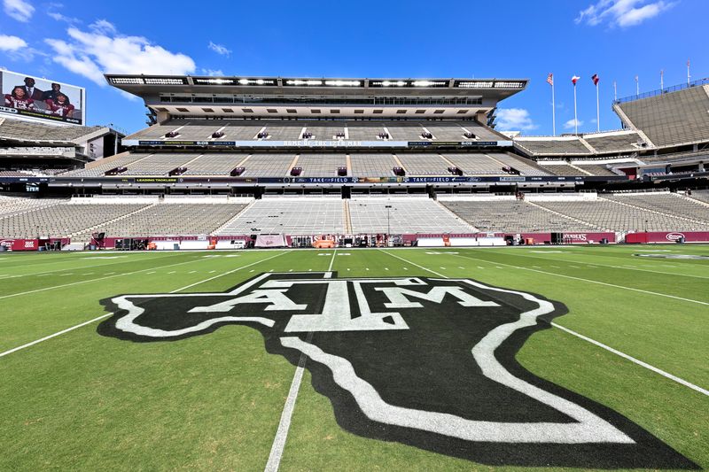Oct 4, 2025; College Station, Texas, USA; A detail view of the Texas A&M logo painted on Kyle Field prior to the game against the Mississippi State Bulldogs. Mandatory Credit: Maria Lysaker-Imagn Images