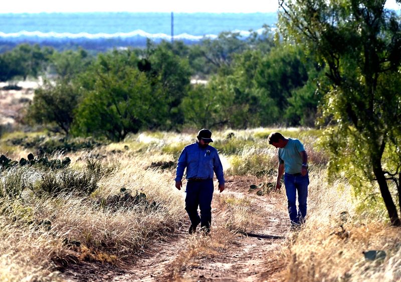 Mitchell Riggs and Dan Foley walk along a road at the Rolling Plains Quail Research Foundation ranch near Rotan in search of the game birds Wednesday Oct. 15, 2025.