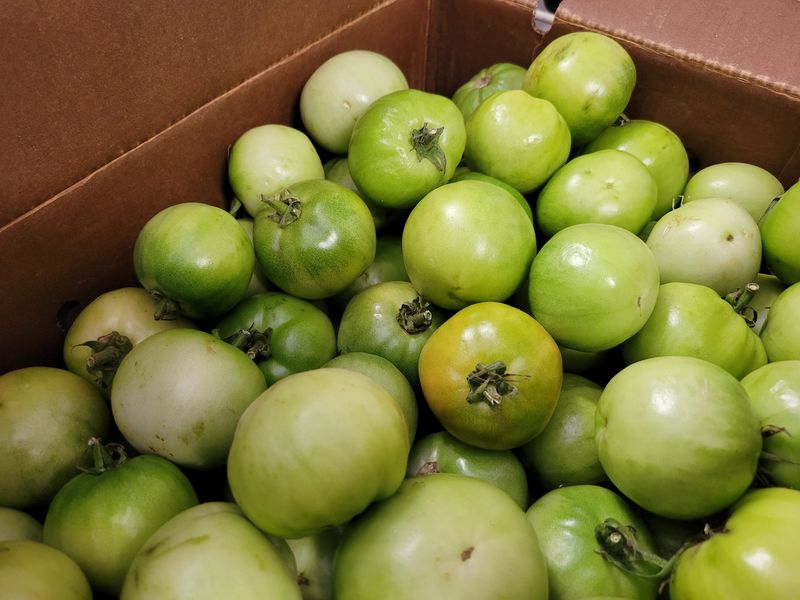 Produce is prepared for Growing Together Texas boxes at E3 Farms, as seen on Wednesday, Nov. 12, 2025, in Wolfforth, Texas.