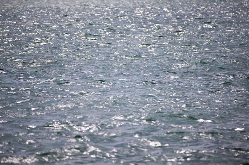 Corpus Christi Bay at Cole Park in Corpus Christi, Texas, on Dec. 12, 2025.