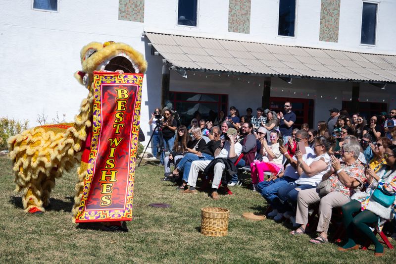 The San Antonio Lion Dance Association performs at the Lunar New Year Celebration at the Texas State Museum of Asian Cultures & Education Center in Corpus Christi, Texas, on Feb. 7, 2026.