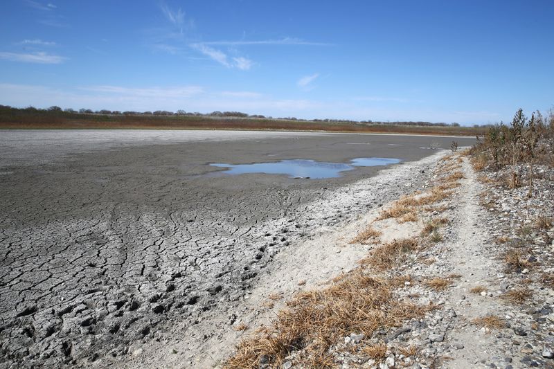 This view near the boat ramp of Choke Canyon Reservoir's Calliham Unit shows large swaths of land where there was once water, now exposed to the sun, on Sunday, Feb. 8, 2026.