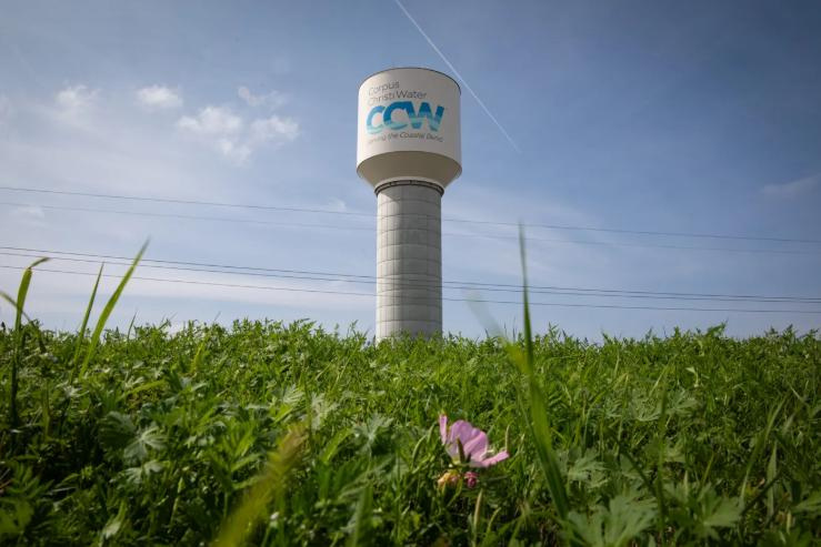 A Corpus Christi Water tower is shown on March 6, 2024.