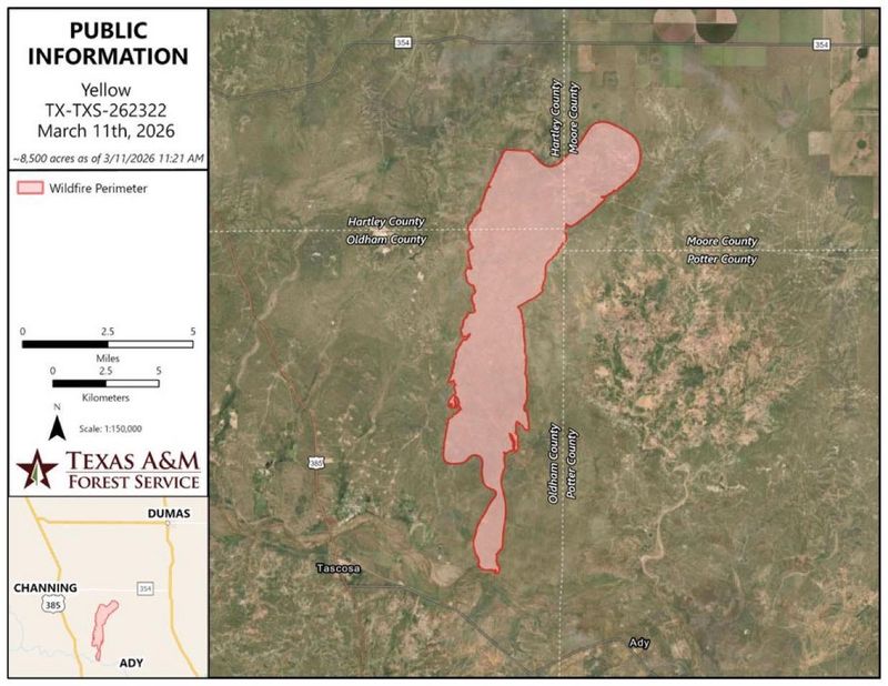 The Yellow Fire in Moore County was an estimated 8,500 acres Wednesday morning, March 11, and 30% contained as of 12:31 p.m.