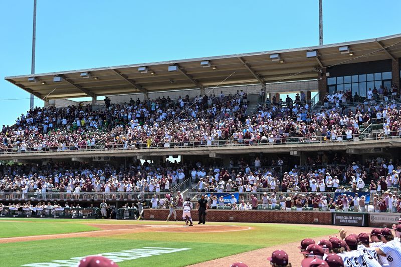 Jun 8, 2024; College Station, TX, USA; A general view of the stands during the game between Texas A&M and Oregon at Olsen Field, Blue Bell Park Mandatory Credit: Maria Lysaker-USA TODAY Sports
