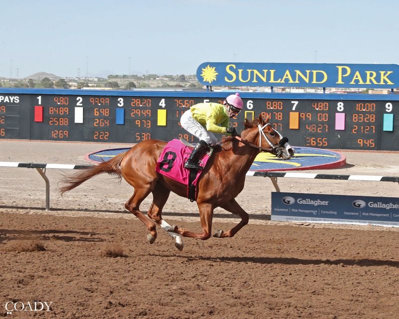 Avery Place won the $175,000 Mine That Derby at Sunland Park Racetrack & Casino on Sunday, April 5, 2026. Alfredo Juarez, Jr. was the winning jockey.