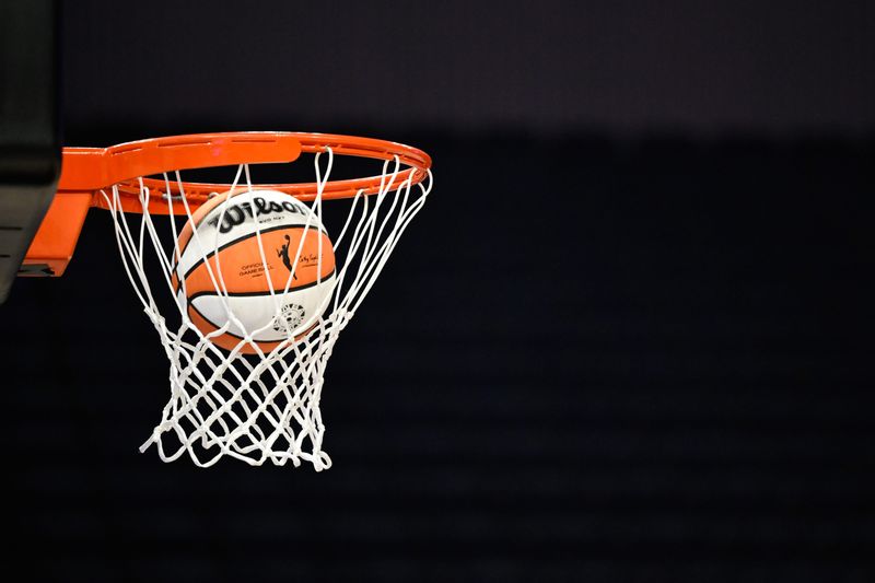 Aug 19, 2025; San Francisco, California, USA; The WNBA logo is seen on a ball before the Golden State Valkyries play the Phoenix Mercury at Chase Center. Mandatory Credit: Eakin Howard-Imagn Images