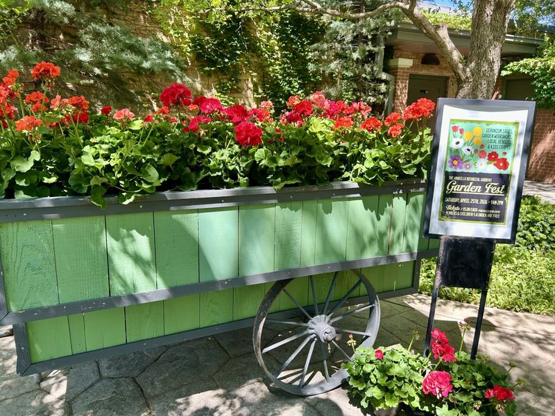 GardenFest is coming to Amarillo Botanical Gardens, Saturday, where perspective gardeners can buy a geranium for $15.