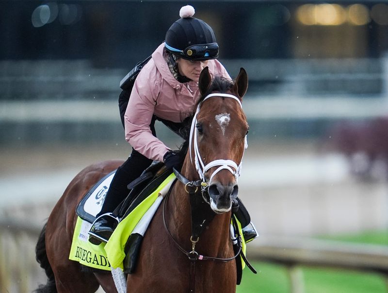 2026 Kentucky Derby contender Renegade during a morning training session during Kentucky Derby week at Churchill Downs. The horse is trained by Todd Pletcher. April 29, 2026