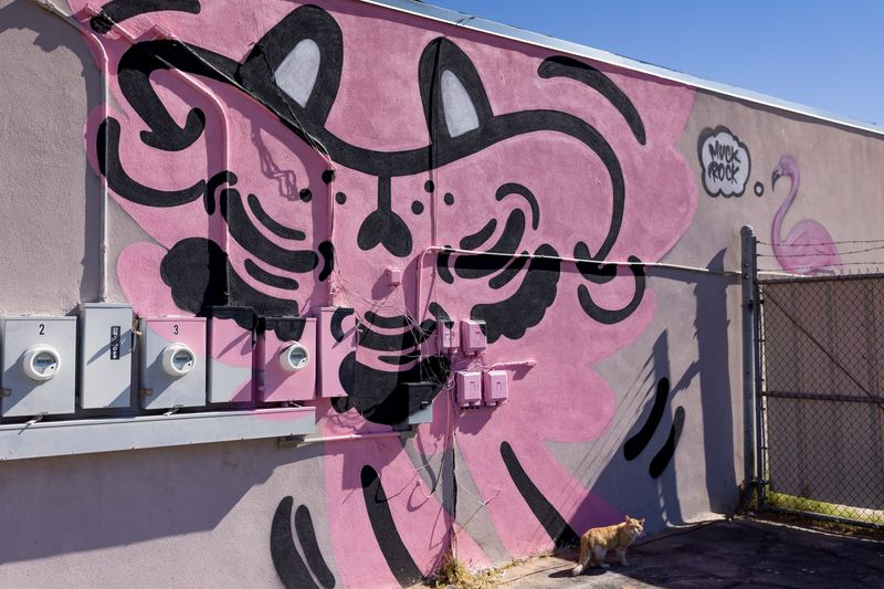 A pink Dream Monster mural by El Paso artist Matthew Jay Martinez, “The Dream Monster,” is seen at Collective Glass/El Paso Arts Supply on Wednesday, May 6, 2026, at 3616 McRae Blvd. in East El Paso, Texas