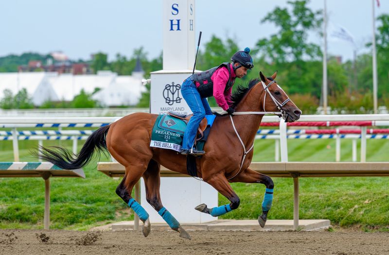 The Hell We Did runs in the Preakness Stakes on Saturday, May 16. He is trained by Todd Fincher, a prominent trainer in New Mexico.