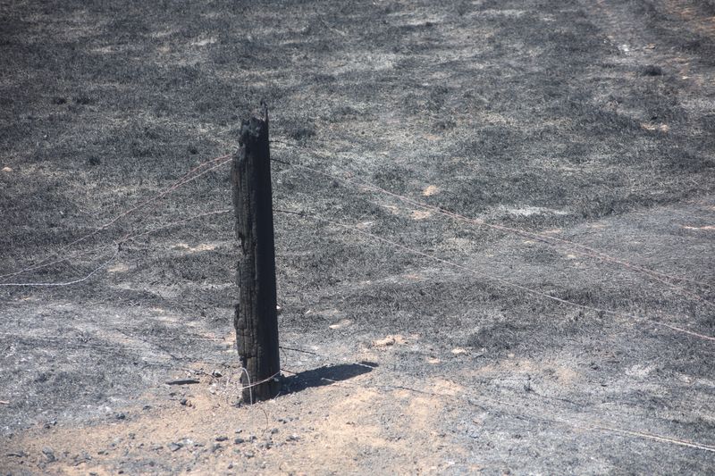 Debris from a burned fence post and charred ground is left Friday, May 15 in the wake of Thursday's wildfires in Randall County, including the Hunggate Fire.