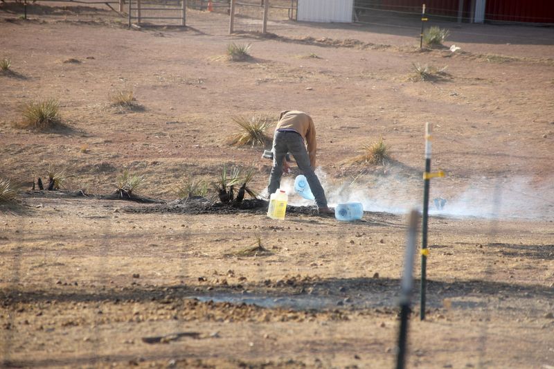A resident pours water on some burning plants as the Stinky Fire that started at the city landfill northwest of Amarillo contiues to burn in the area.
