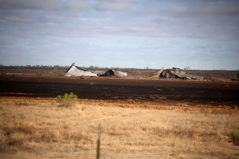 Multiple homes, structures and vehicles were destroyed by the Stinky Fire that started at the landfill northwest of Amarillo.