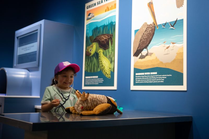 Makayla Noyola, 4, checks the pulse on a stuffed owl at the new Ocean Odyssey indoor playground at the Texas State Aquarium in Corpus Christi, Texas, on May 19, 2026.