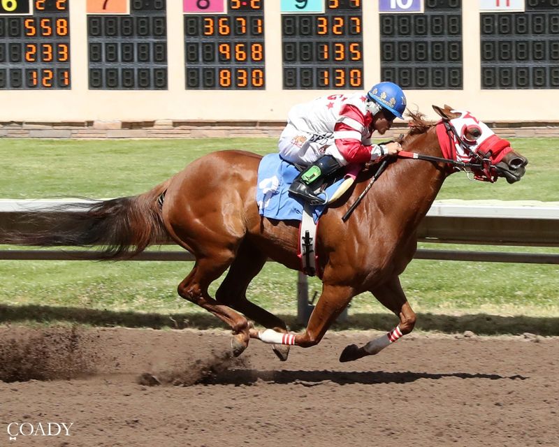 GF Shes Sinful was one of the 10 qualifiers for next month's Ruidoso Derby at the Downs of Albuquerque on Sunday, May 24, 2026.