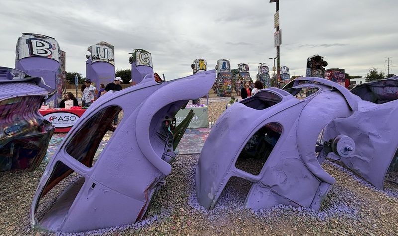 Slug Bugs go purple in June to bring awareness to elder abuse and prevention in Amarillo area.