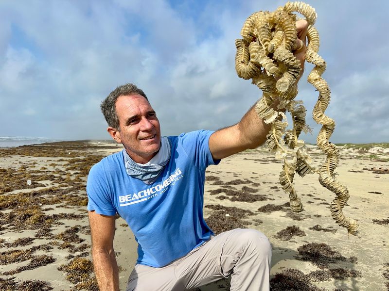 Jace Tunnell holds up several lightning whelk egg casings that washed up in Texas.