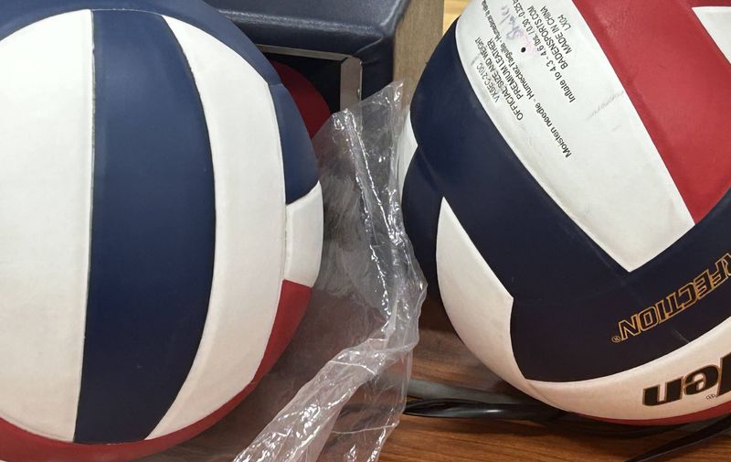 Volleyball logo, June 6, 2026.