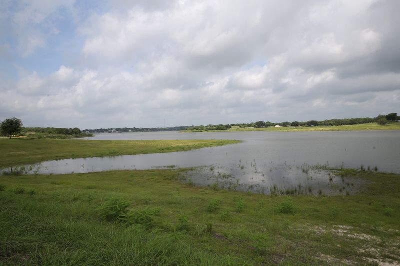 Vegetation that had previously been exposed is seen partially under the cover of water at Lake Corpus Christi on June 19, 2026. At the time, the lake levels were at about 30% capacity.
