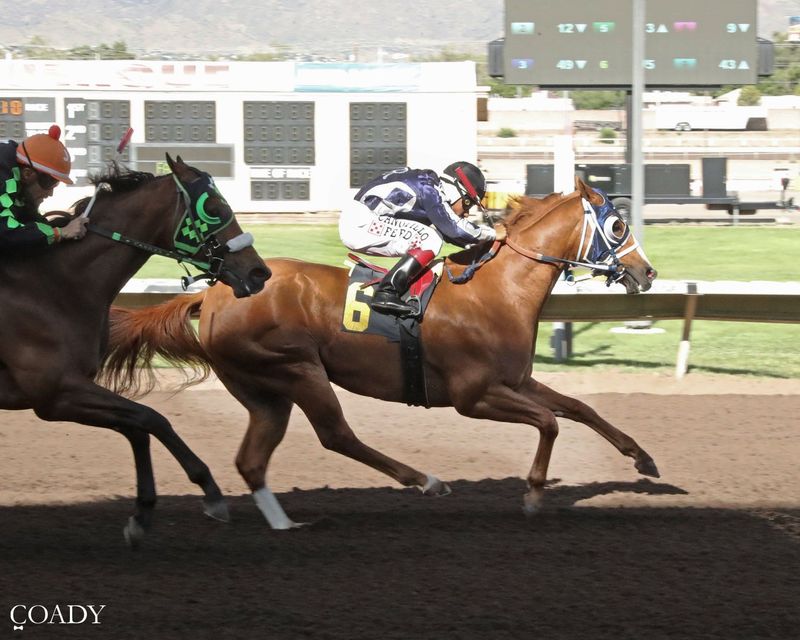 Political Twist was the top qualifier for the 440-yard Rainbow Derby on Sunday, June 28, 2026 at the Downs at Albuquerque.