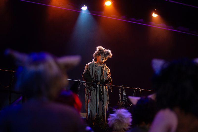 Samuel Hernandez, who portrays Old Deuteronomy, performs "The Ad-dressing of Cats" during a dress rehearsal of "Cats Jr." at Harbor Playhouse in Corpus Christi, Texas, on July 22, 2026.