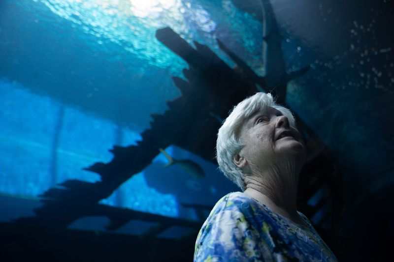 Jan Thornton, a former volunteer at the Texas State Aquarium, looks at animals at the Caribbean Journey exhibit at the aquarium in Corpus Christi on July 24. Thornton volunteered from 1990 to 2022.
