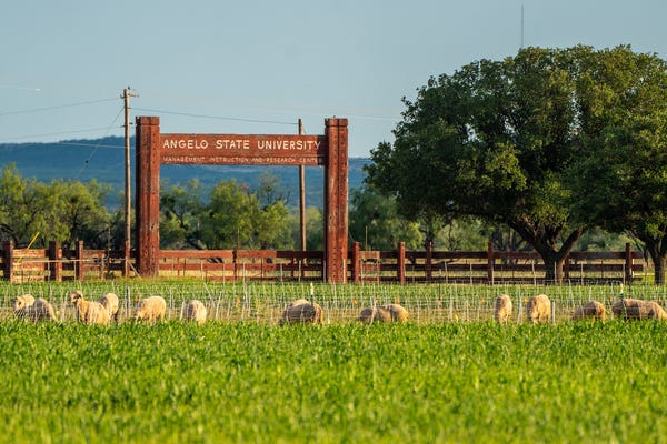 Angelo State University's Management, Instruction and Research Center, commonly called the ASU Ranch, is a key hub for agricultural learning.