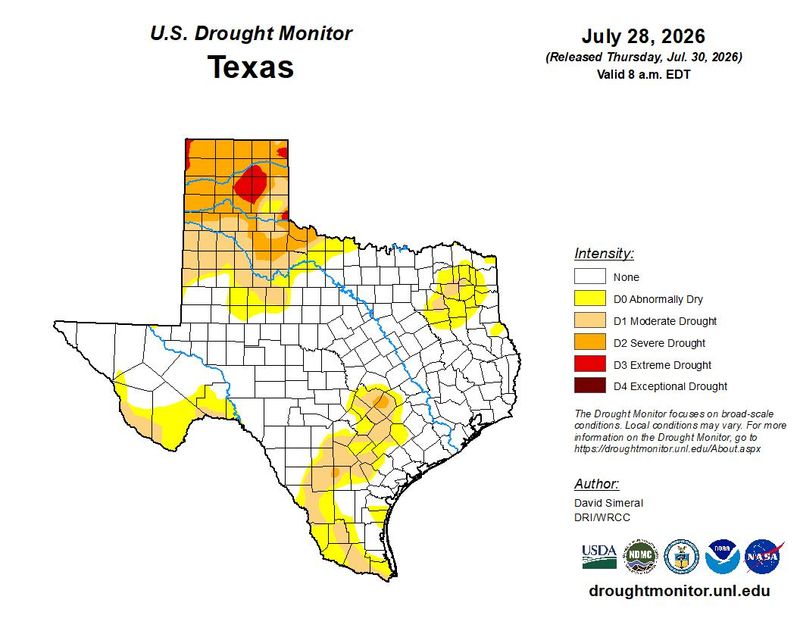 The latest data, as of July 28, showed most of the Texas Panhandle remained in severe or extreme stages of drought in the Texas Drought Monitor, while triple-digit temperatures persisted in the region due to a heat dome.