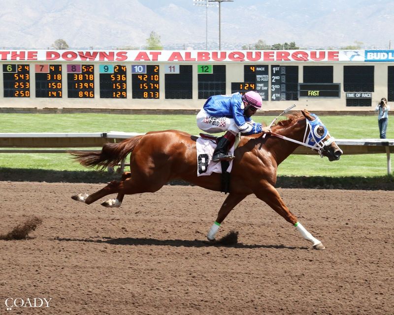 Leaving London was one of five qualifiers for the 440-yard All American Futurity on day one of qualifying on Friday, Aug. 7 at the Downs At Albuquerque.