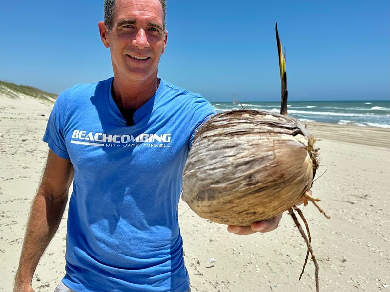 Jace Tunnell holds a sprouting coconut found at the beach.