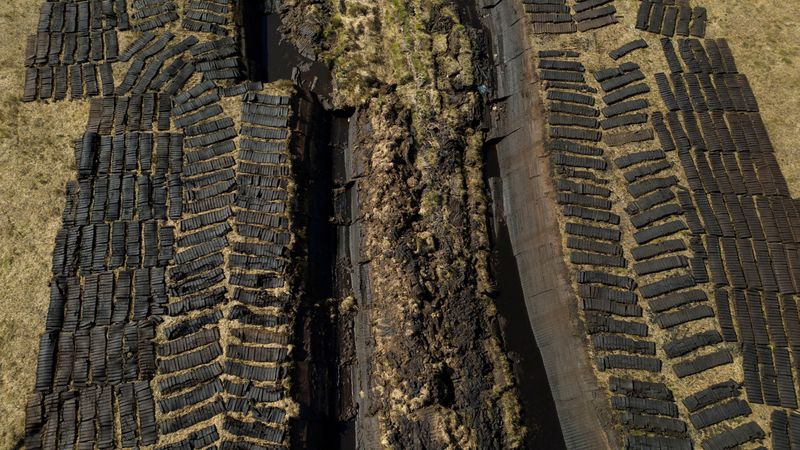FILE PHOTO: A drone view shows turf from Derryrush bog left out to dry after being harvested from the blanket bog, in Derryrush, Ireland, April 22, 2024. Ireland's bogs were formed over thousands of years as decaying plants formed a thick layer of peat in wetland areas. REUTERS/Clodagh Kilcoyne/File Photo