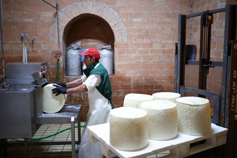 A worker places a wheel of Pecorino Romano cheese into a salting machine at "I Buonatavola" company headquarters, where "Genuine Fulvi" Pecorino Romano is produced, as threats by U.S. President Donald Trump to impose 30% tariffs on EU imports worry Italian Pecorino Romano cheese producers in Monterosi, Italy, July 17, 2025. REUTERS/Guglielmo Mangiapane