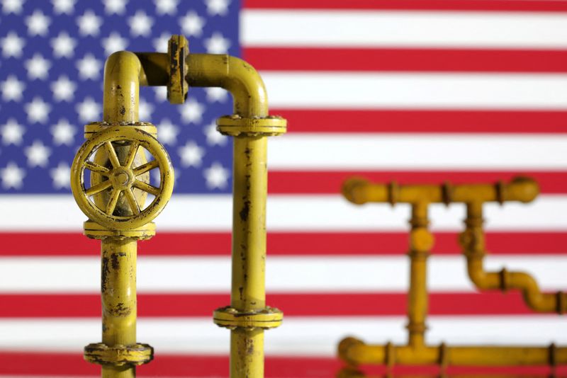 FILE PHOTO: Model of natural gas pipeline and U.S. flag, July 18, 2022. REUTERS/Dado Ruvic/Illustration/File Photo