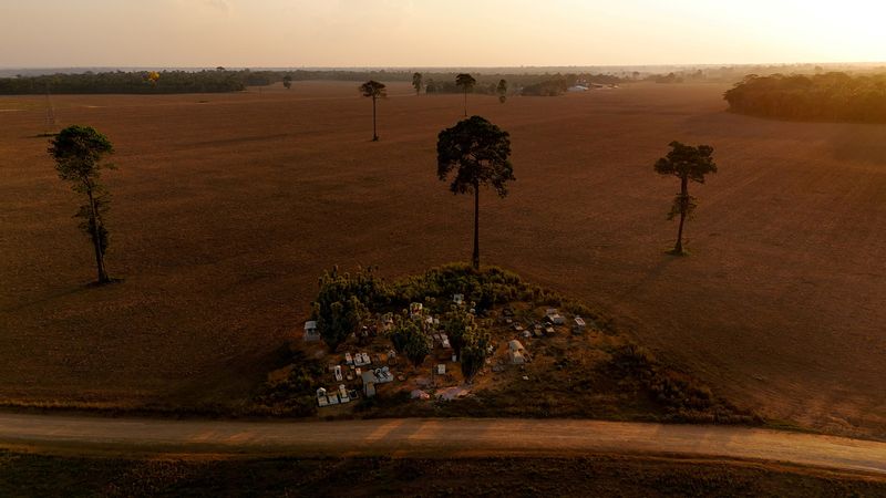FILE PHOTO: A drone view shows a rural cemetery surrounded by a soy field where soybean farming expanded in the Amazon, in Belterra, Para state, Brazil October 8, 2024. REUTERS/Amanda Perobelli/File Photo