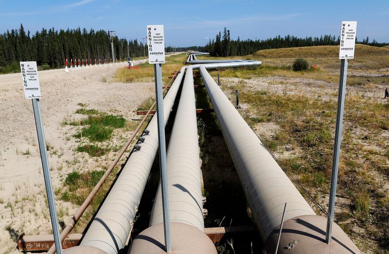 FILE PHOTO: Pipelines carrying steam to wellheads and heavy oil back to the processing plant line the roads and boreal forest at the Cenovus Energy Christina Lake Steam-Assisted Gravity Drainage (SAGD) project 120 km (74 miles) south of Fort McMurray, Alberta, August 15, 2013. REUTERS/Todd Korol/File Photo