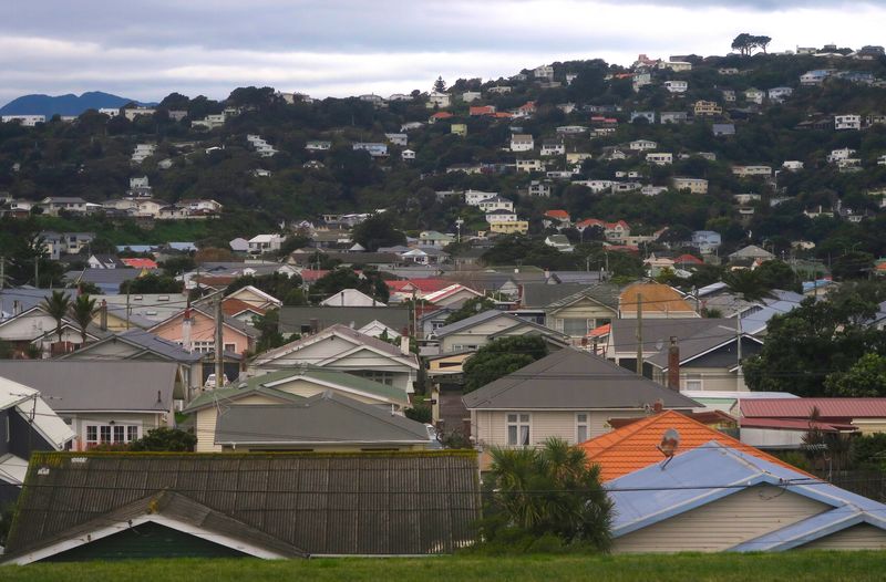 Residential houses are seen in Wellington, New Zealand, July 1, 2017. Picture taken July 1, 2017.   REUTERS/David Gray