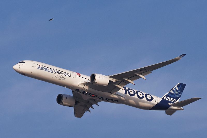 A bird flies past an Airbus A350 aircraft performing a flypast at the Dubai Airshow in Dubai, United Arab Emirates, November 17, 2025. REUTERS/Amr Alfiky