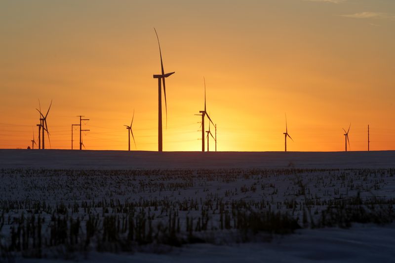 FILE PHOTO: A wind farm in Latimer, Iowa, U.S. February 2, 2020. REUTERS/Jonathan Ernst